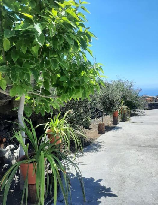 Mi Rinconcito Villa Los Llanos De Aridane Buitenkant foto